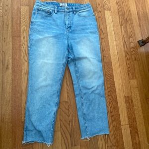 Free People Curvy Straight Leg Jeans